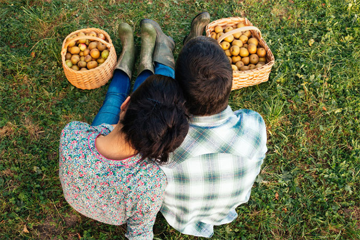 Love Creek Orchards