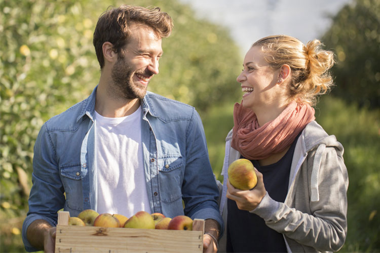 Sibley Orchards and Cider Mill