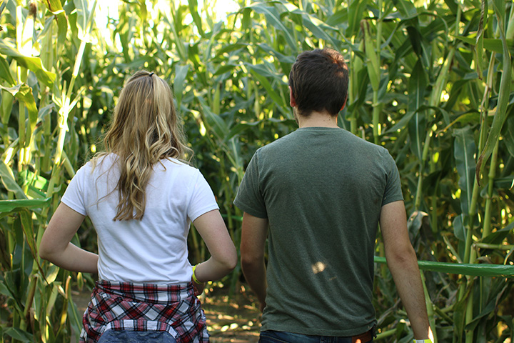 Fangmeier Farms Pumpkin Patch