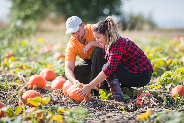 Krupski's Pumpkin Farms